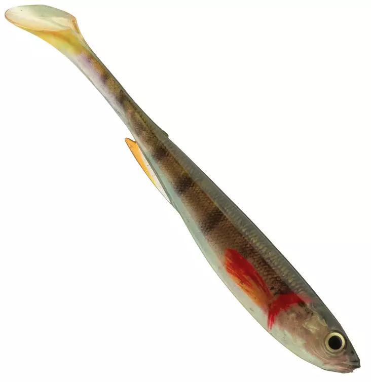 Daiwa Prorex Slim Shady 7,5cm Live - Klassische Weichköder - 173020256 - 1