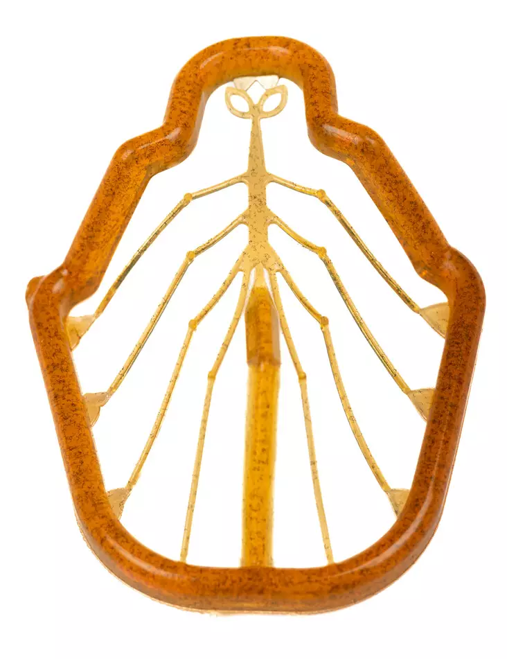 Easy Shrimp Legs 2.0 Medium - Andere Fliegenbindematerialien - 40850000666 - 1