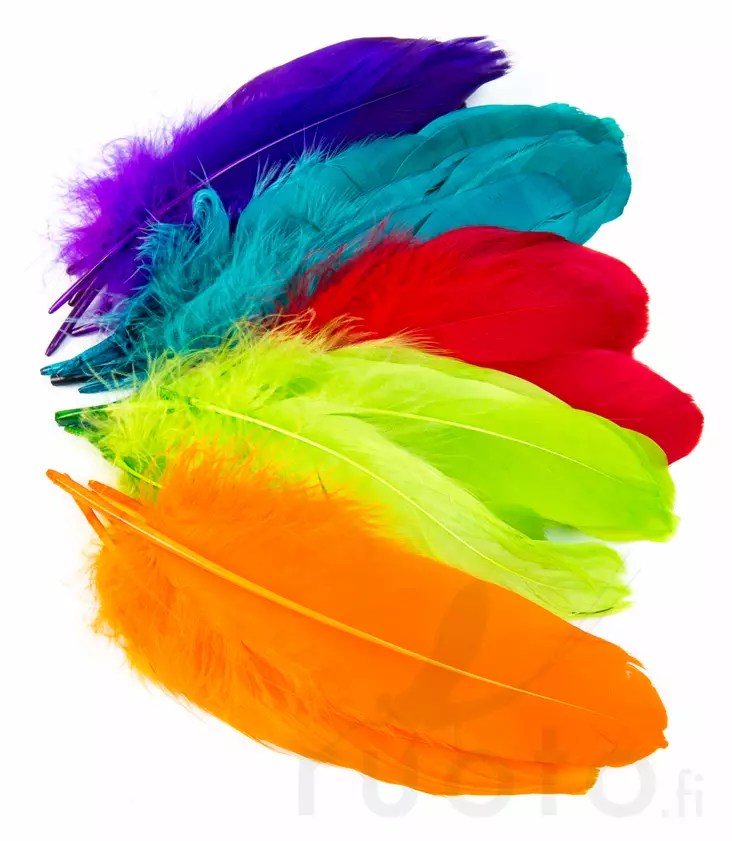 Goose Shoulder - Klassische Feder - 4045030096 - 1