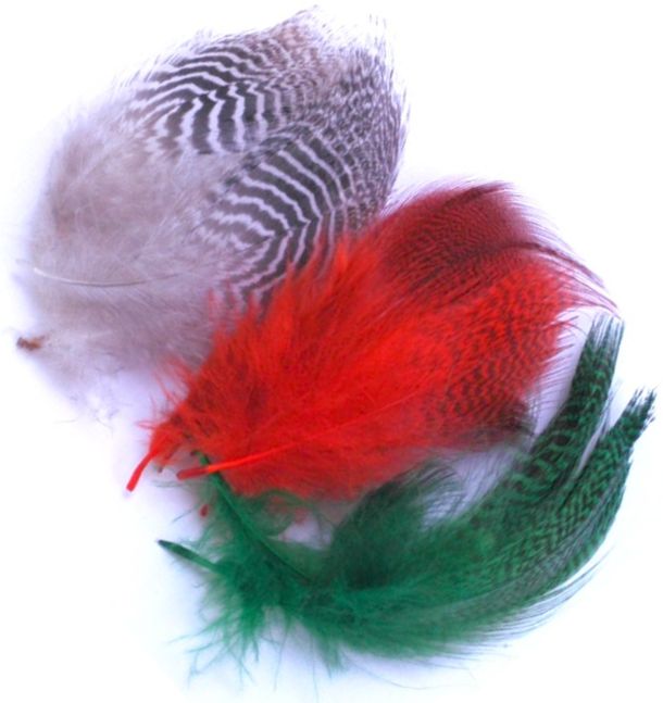 Hareline Teal Flank Feathers - Andere Federn und Plüme - 40450300096 - 1