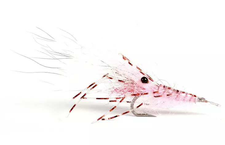 Leoshrimp Pink - Garnelen - 7033840130326 - 1