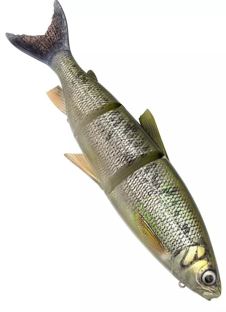 Savage Gear 3D LT Whitefish 27cm/217g - Weichköder für Hechte über 100g - 173026926 - 1