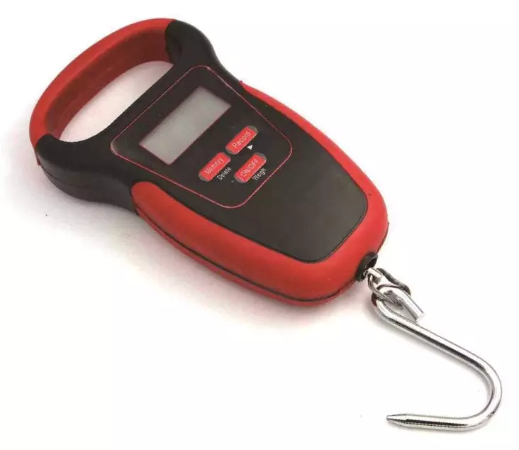 Saxa Floating Fish Scale 50 kg - Andere Werkzeuge und Zubehör - 6438407012236 - 2