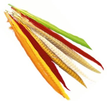 Veniard Cock Pheasant Colour Extracted T - Schwänze - 404503000026 - 1