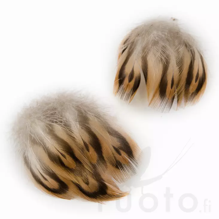 Hen Mallard Breast Feathers - Klassische Feder - 5056304602544 - 1