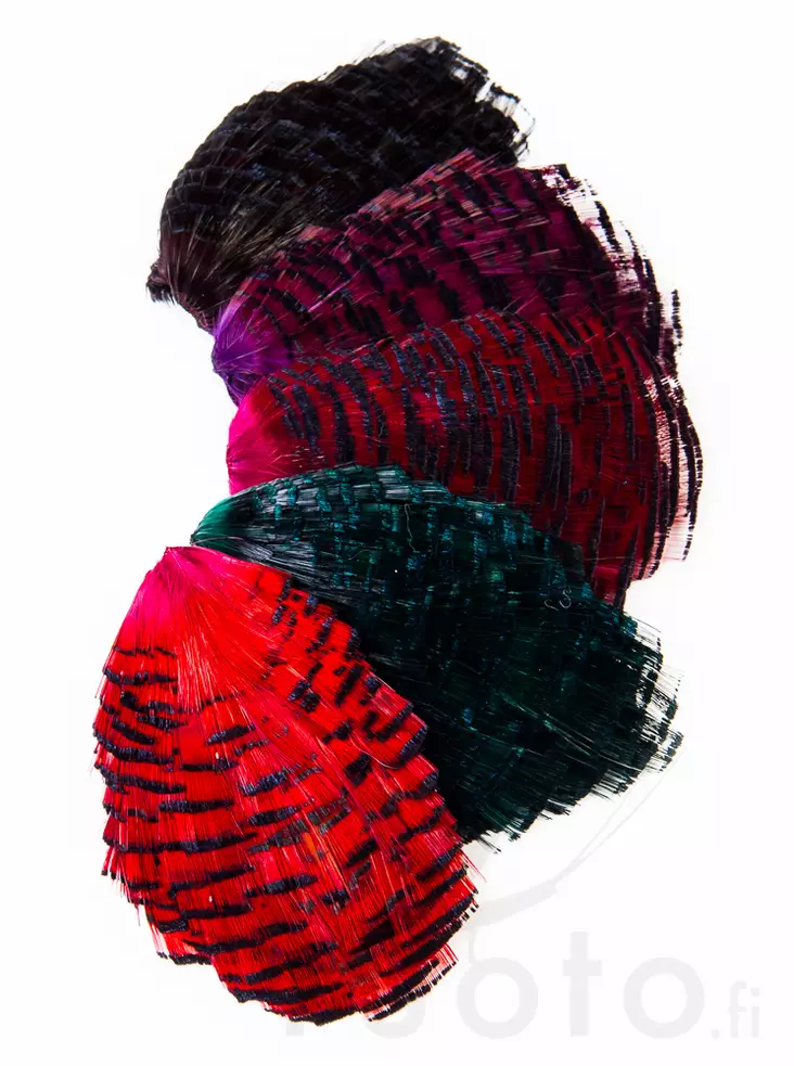 Wapsi Golden Pheasant Tippet - Klassische Feder - 40450200066 - 1