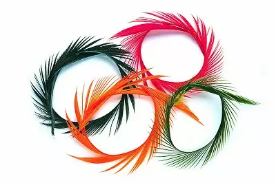 Wapsi Goose Biots - Andere Federn und Plüme - 40450300036 - 1