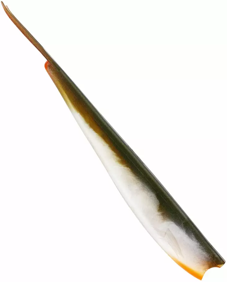 Westin TwinTeez V-Tail 24cm - Weichköder für das Vertikalangeln - 1734056 - 1