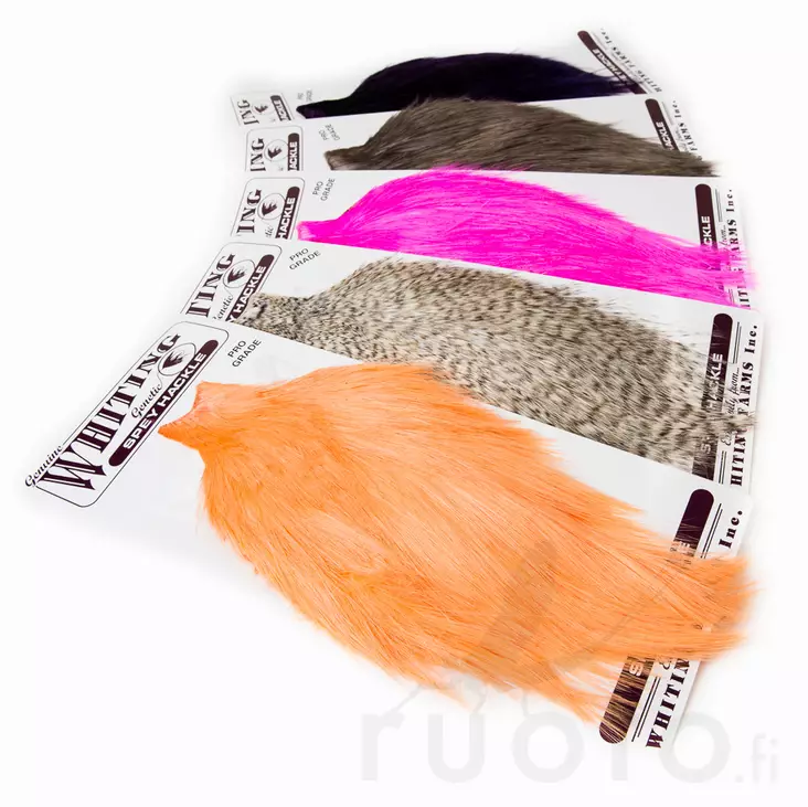 Spey Cape Pro Grade - Andere Hälse und Sattelfedern - 40350200006 - 1