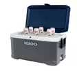 Igloo Maxcold 66l Cooler Dark Gray - Kühlboxen - 0034223506797 - 4
