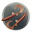 Microbite Twister 6.8cm - Weichköder mit lockigem Schwanz - 34003000047 - 7