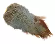 Natures Spirit Ringneck Pheasant Rump Patch - Andere Federn und Plüme - 404503000677 - 3