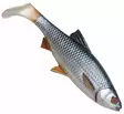Savage Gear 4D River Roach 18cm 70g - Weichköder für Hechte unter 100g - 3400300097 - 2