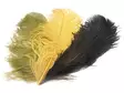 Silvergrey Ostrich Plumes - Andere Federn und Plüme - 40450300037 - 1