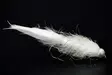 White Leech Tungsten Beadhead - Streamer und Wooly Buggers - 8859202532237 - 1
