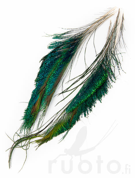FTS Strung Peacock Herl - Andere Federn und Plüme - 5056304603862 - 3