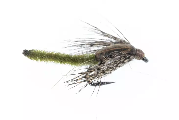 Chenille Pupa Olive - Nassfliegen - 06429810537317 - 1
