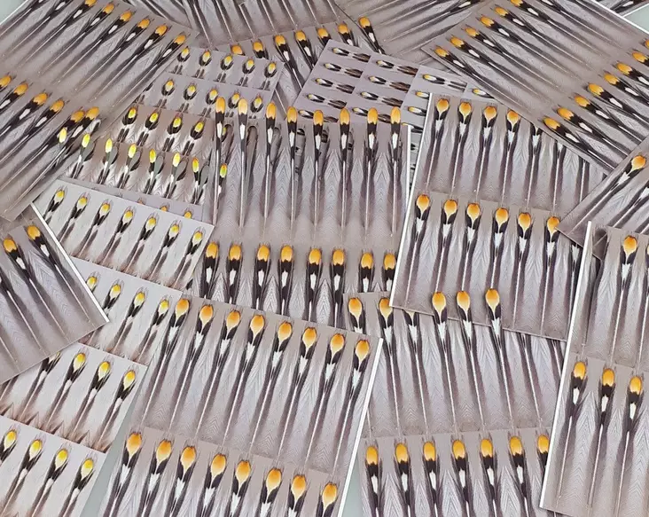 FutureFly Articial Jungle Cock - Jungle Cock und Ersatz - 5712462020827 - 1