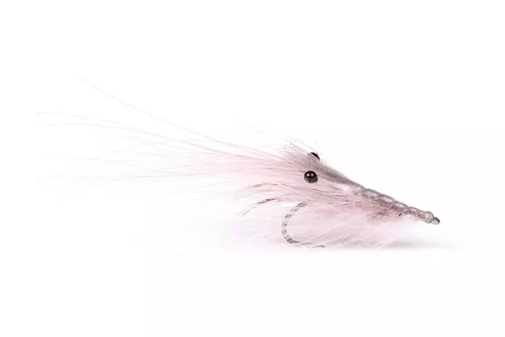 Pattegrisen Grey #4 - Garnelen und Flohkrebse - 7033840124127 - 1
