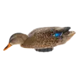 Avian-X Power Shaker Mallard Hen Surface Feeder - Lockvögel - 888151047538 - 1