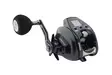 Daiwa 23 Leobritz 300 JL E - Große Meeresrollen - 043178188538 - 2