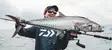 Daiwa 25 Saltiga 35 - Meerfischerei- und Schlepprollen - 043178187258 - 3