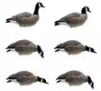 Final Approach Last Pass Lesser Canada Goose Full Body 6pcs - Lockvögel - 728614284288 - 1