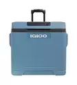 Igloo IE42R Thermoelectric Cooler 12V/230V 42l Blue - Kühlboxen - 7315091520218 - 2