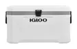 Igloo Marine Ultra 66l Cooler White - Kühlboxen - 0034223506728 - 1
