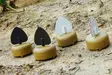 MOJO Dove a Flicker (4-pack) - Lockvögel - 0816740003818 - 5