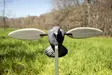 MOJO Pigeon - Lockvögel - 816740002828 - 5