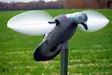 MOJO Pigeon - Lockvögel - 816740002828 - 3