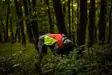 Non-stop Dogwear Protector Vest 2.0 Orange - Hundewesten und -kleidung - 7071652045568 - 7