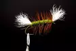 Pompero Olive Salmon Dry Fly - Andere Fliegen - 8859202530028 - 1
