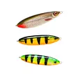 Rapala Essentials Pike Sunny 2.0 - Köder-Sortimente - 022677384078 - 2