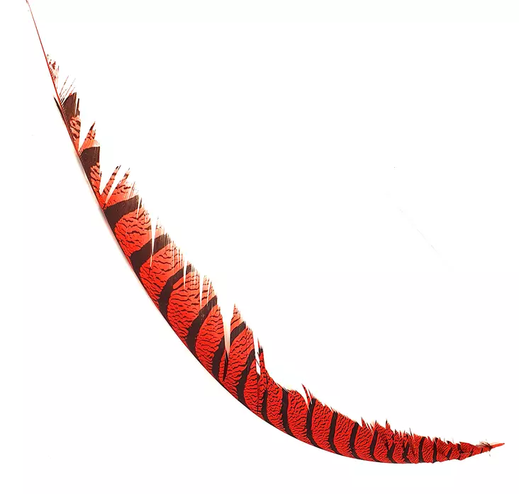 Hareline Lady Amherst Center Tail - Schwänze - 40400700518 - 1