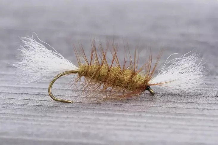 Pompero Light Olive - Andere Fliegen - 8859202531568 - 1