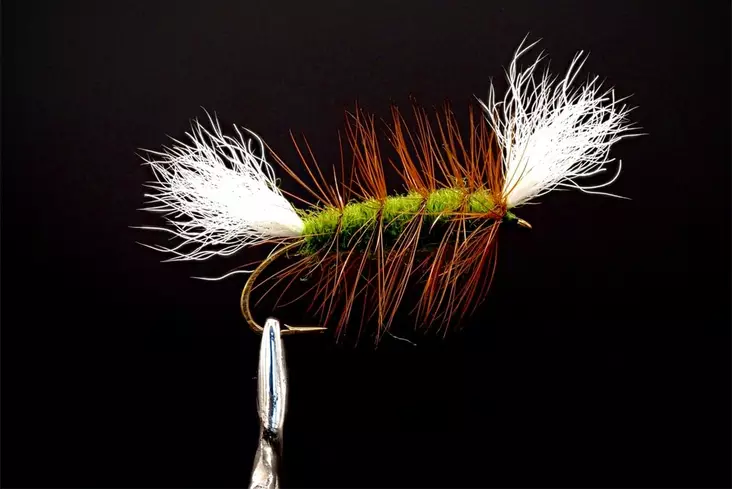 Pompero Olive Salmon Dry Fly - Andere Fliegen - 8859202530028 - 1