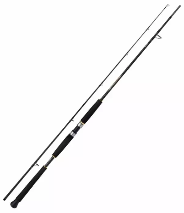 Shimano Beastmaster AX Pilk 2pc - Meeresruten für das Tiefseeangeln - 8717009603928 - 1