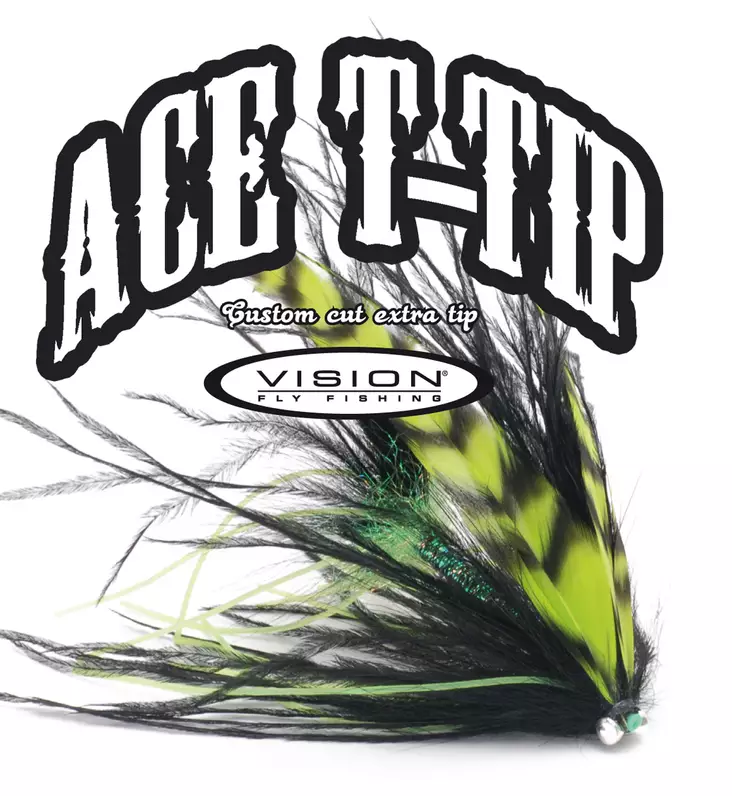 Vision Ace T-Tip 10' - Spitzen - 6417512820448 - 1