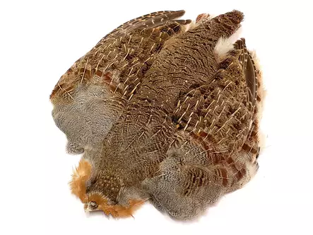 Hareline Grade 1 Hungarian Partridge Skin - Häute, Flügel und Köpfe - 762820008689 - 1