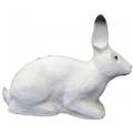 SRT Targets 3D Rabbit White - 3D-Ziele - 8470569 - 1