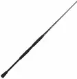 BFT Raptor G2 Pike Spin - Andere Spinnruten - 7340029417339 - 1