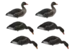 Final Approach Fullbody Flocked Greylag 6pcs - Lockvögel - 728614298629 - 1