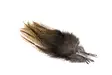 Hareline Gallo De Leon Saddle Feathers - Andere Federn und Plüme - 40450200599 - 6