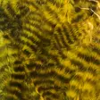 Grizzly Soft Hackle - Andere Federn und Plüme - 40450300019 - 7