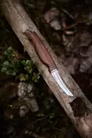 Marttiini Mushroom Knife Kerääjä - Messer und Klingen - 6416885425779 - 5