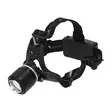 Mikado Head Torch 550 lm UV - Stirnlampen, Bivvy-Lampen & Laternen - 5900637018179 - 1