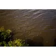 Mikado Noctis X Lite Classic Lake Feeder 3,60m max 50g - Leichte & Kanal-Feederruten - 5900637114659 - 10