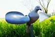 MOJO Wind Dove - Lockvögel - 816740002019 - 1